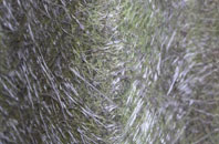 Greendown fibreglass roof work