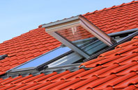 Greendown roof window